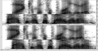 Figure 7. Spectrogram of “thank you mister president” showing the different timings of frequencies above and below 1200 Hz. Here the low frequencies arrive 60 ms. earlier on the left channel and the high frequencies 60 ms. earlier on the right channel.